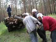 Трудовые будни  | фото 3